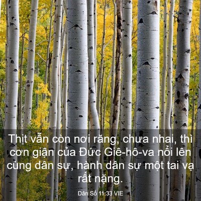 Picture 03 - Dân Số 11:33 VIE - Thịt vẫn còn nơi răng, chưa nhai, thì - Bible Verse Picture