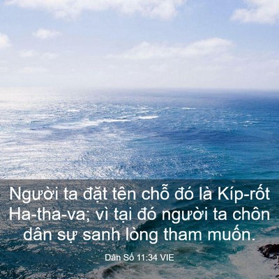 Picture 03 - Dân Số 11:34 VIE - Người ta đặt tên chỗ đó là Kíp-rốt - Bible Verse Picture