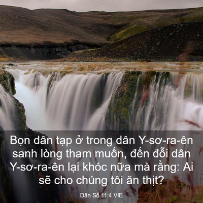 Picture 03 - Dân Số 11:4 VIE - Bọn dân tạp ở trong dân Y-sơ-ra-ên sanh - Bible Verse Picture