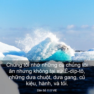 Picture 03 - Dân Số 11:5 VIE - Chúng tôi nhớ những cá chúng tôi ăn - Bible Verse Picture