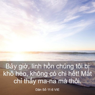 Picture 03 - Dân Số 11:6 VIE - Bây giờ, linh hồn chúng tôi bị khô - Bible Verse Picture