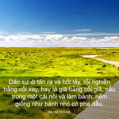 Picture 03 - Dân Số 11:8 VIE - Dân sự đi tản ra và hốt lấy, rồi - Bible Verse Picture