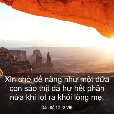 Picture 03 - Dân Số 12:12 VIE - Xin chớ để nàng như một đứa con sảo - Bible Verse Picture