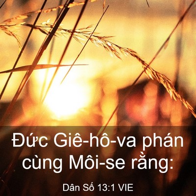 Picture 03 - Dân Số 13:1 VIE - Đức Giê-hô-va phán cùng Môi-se - Bible Verse Picture