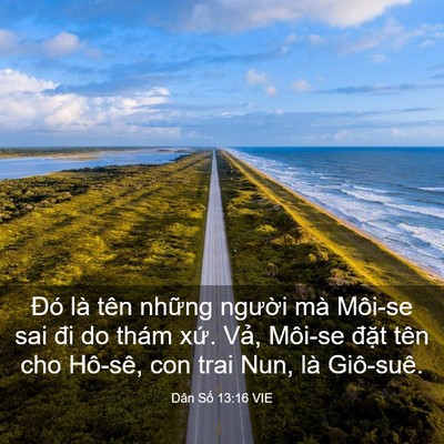 Picture 03 - Dân Số 13:16 VIE - Đó là tên những người mà Môi-se sai - Bible Verse Picture
