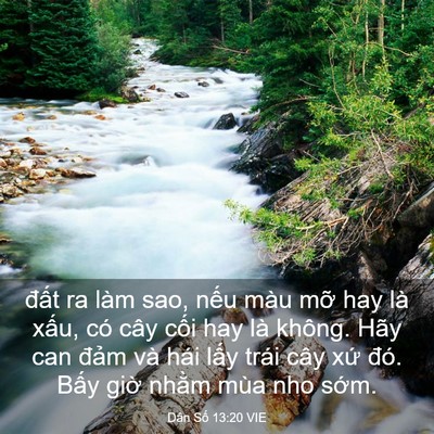 Picture 03 - Dân Số 13:20 VIE - đất ra làm sao, nếu màu mỡ hay là - Bible Verse Picture