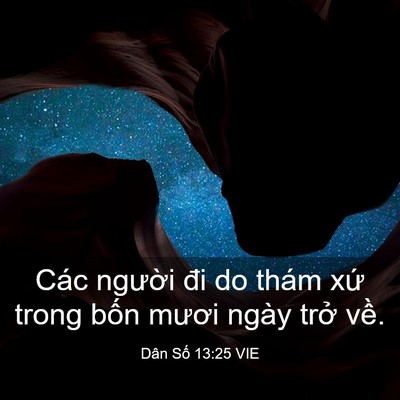 Picture 03 - Dân Số 13:25 VIE - Các người đi do thám xứ trong bốn - Bible Verse Picture