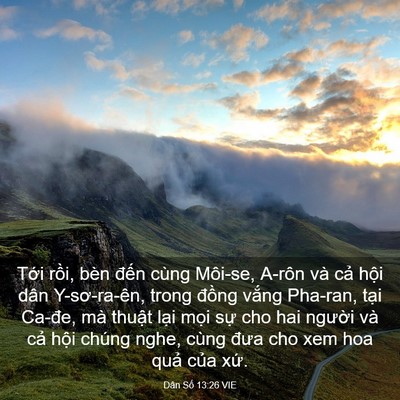 Picture 03 - Dân Số 13:26 VIE - Tới rồi, bèn đến cùng Môi-se, A-rôn - Bible Verse Picture