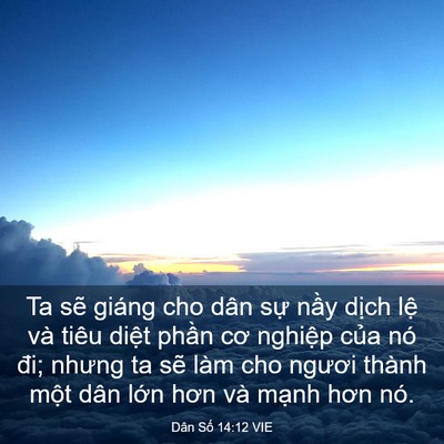 Picture 03 - Dân Số 14:12 VIE - Ta sẽ giáng cho dân sự nầy dịch lệ - Bible Verse Picture