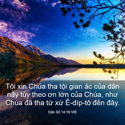 Picture 03 - Dân Số 14:19 VIE - Tôi xin Chúa tha tội gian ác của dân - Bible Verse Picture