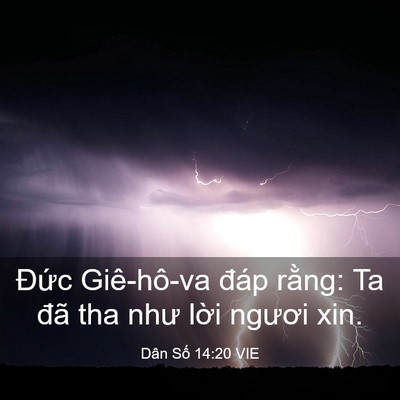 Picture 03 - Dân Số 14:20 VIE - Đức Giê-hô-va đáp rằng: Ta đã tha như - Bible Verse Picture