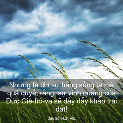 Picture 03 - Dân Số 14:21 VIE - Nhưng ta chỉ sự hằng sống ta mà quả - Bible Verse Picture