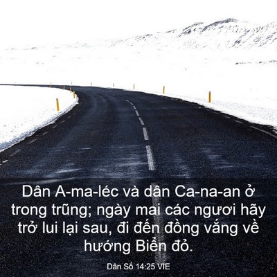Picture 03 - Dân Số 14:25 VIE - Dân A-ma-léc và dân Ca-na-an ở trong - Bible Verse Picture