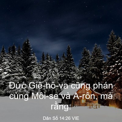 Picture 03 - Dân Số 14:26 VIE - Đức Giê-hô-va cũng phán cùng Môi-se và - Bible Verse Picture