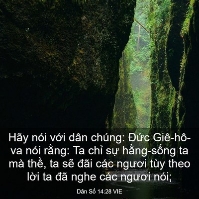 Picture 03 - Dân Số 14:28 VIE - Hãy nói với dân chúng: Đức Giê-hô-va - Bible Verse Picture