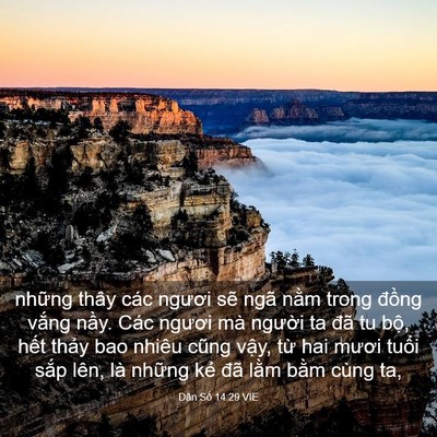 Picture 03 - Dân Số 14:29 VIE - những thây các ngươi sẽ ngã nằm trong - Bible Verse Picture