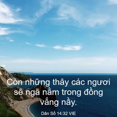 Picture 03 - Dân Số 14:32 VIE - Còn những thây các ngươi sẽ ngã nằm - Bible Verse Picture