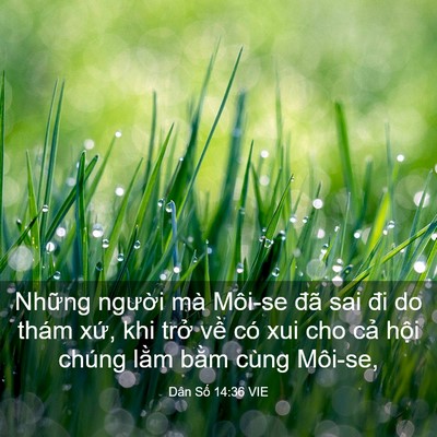 Picture 03 - Dân Số 14:36 VIE - Những người mà Môi-se đã sai đi do - Bible Verse Picture