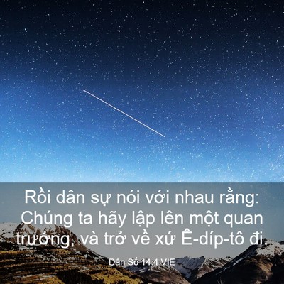Picture 03 - Dân Số 14:4 VIE - Rồi dân sự nói với nhau rằng: Chúng ta - Bible Verse Picture