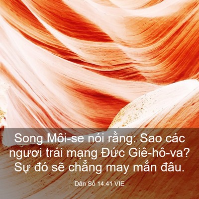 Picture 03 - Dân Số 14:41 VIE - Song Môi-se nói rằng: Sao các ngươi trái - Bible Verse Picture