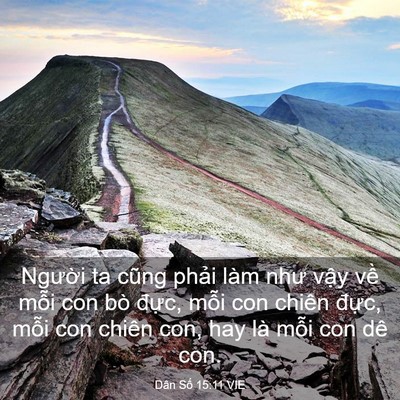 Picture 03 - Dân Số 15:11 VIE - Người ta cũng phải làm như vậy về - Bible Verse Picture