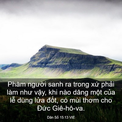 Picture 03 - Dân Số 15:13 VIE - Phàm người sanh ra trong xứ phải làm - Bible Verse Picture