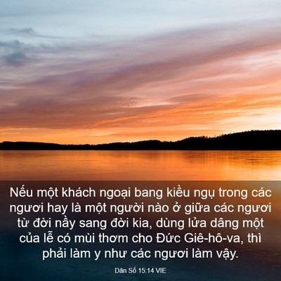 Picture 03 - Dân Số 15:14 VIE - Nếu một khách ngoại bang kiều ngụ - Bible Verse Picture