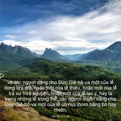 Picture 03 - Dân Số 15:3 VIE - và các ngươi dâng cho Đức Giê-hô-va - Bible Verse Picture