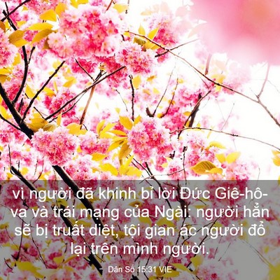Picture 03 - Dân Số 15:31 VIE - vì người đã khinh bỉ lời Đức - Bible Verse Picture