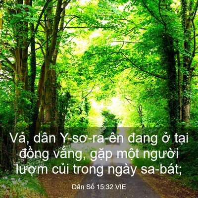 Picture 03 - Dân Số 15:32 VIE - Vả, dân Y-sơ-ra-ên đang ở tại đồng - Bible Verse Picture