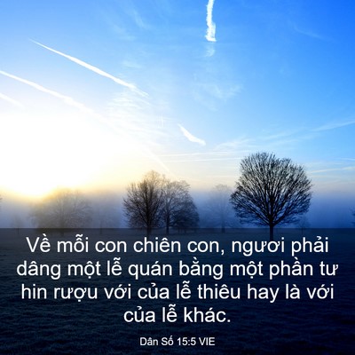Picture 03 - Dân Số 15:5 VIE - Về mỗi con chiên con, ngươi phải dâng - Bible Verse Picture