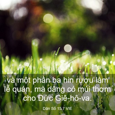 Picture 03 - Dân Số 15:7 VIE - và một phần ba hin rượu làm lễ quán, - Bible Verse Picture