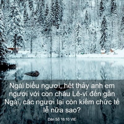 Picture 03 - Dân Số 16:10 VIE - Ngài biểu ngươi, hết thảy anh em ngươi - Bible Verse Picture