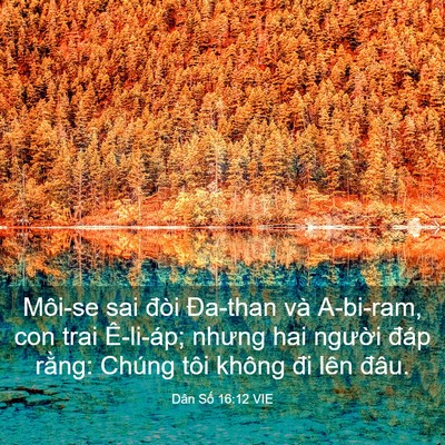 Picture 03 - Dân Số 16:12 VIE - Môi-se sai đòi Đa-than và A-bi-ram, con trai - Bible Verse Picture