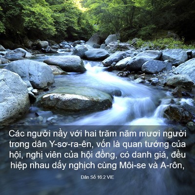 Picture 03 - Dân Số 16:2 VIE - Các người nầy với hai trăm năm mươi - Bible Verse Picture