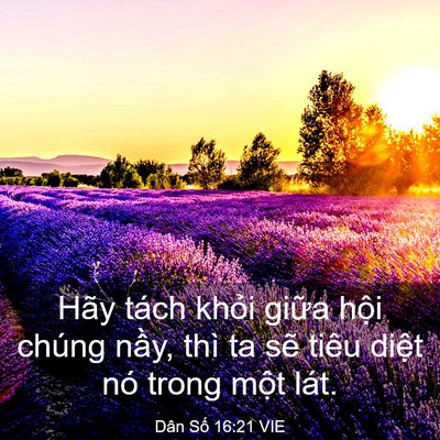 Picture 03 - Dân Số 16:21 VIE - Hãy tách khỏi giữa hội chúng nầy, thì - Bible Verse Picture