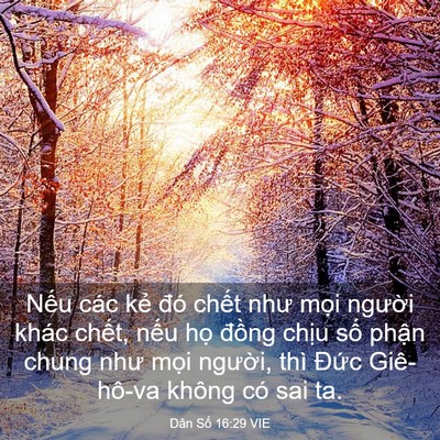 Picture 03 - Dân Số 16:29 VIE - Nếu các kẻ đó chết như mọi người - Bible Verse Picture