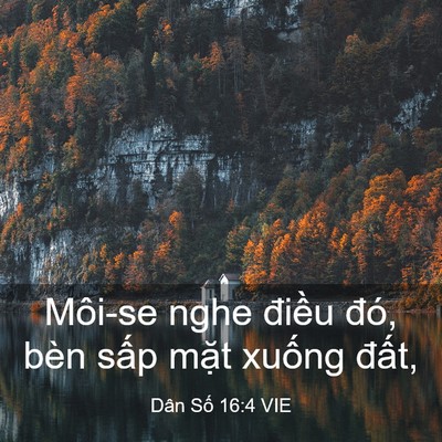 Picture 03 - Dân Số 16:4 VIE - Môi-se nghe điều đó, bèn sấp mặt - Bible Verse Picture