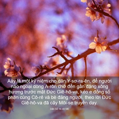 Picture 03 - Dân Số 16:40 VIE - Aáy là một kỷ niệm cho dân Y-sơ-ra-ên, - Bible Verse Picture