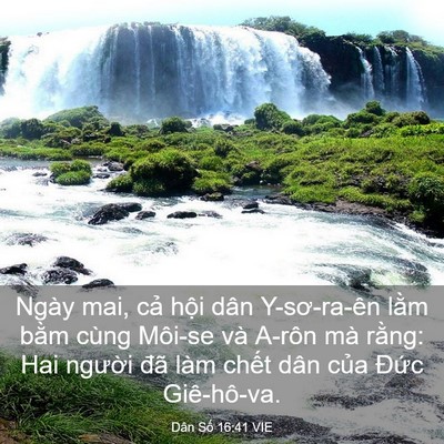 Picture 03 - Dân Số 16:41 VIE - Ngày mai, cả hội dân Y-sơ-ra-ên lằm - Bible Verse Picture