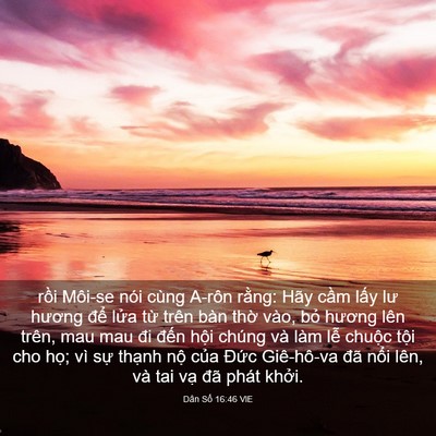 Picture 03 - Dân Số 16:46 VIE - rồi Môi-se nói cùng A-rôn rằng: Hãy - Bible Verse Picture