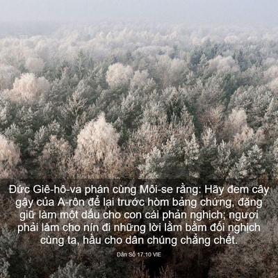 Picture 03 - Dân Số 17:10 VIE - Đức Giê-hô-va phán cùng Môi-se rằng: - Bible Verse Picture