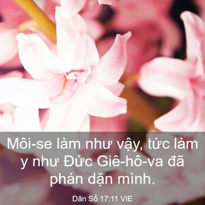 Picture 03 - Dân Số 17:11 VIE - Môi-se làm như vậy, tức làm y như Đức - Bible Verse Picture