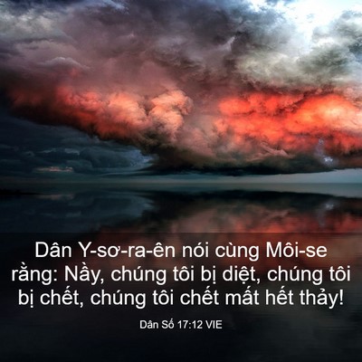 Picture 03 - Dân Số 17:12 VIE - Dân Y-sơ-ra-ên nói cùng Môi-se rằng: - Bible Verse Picture