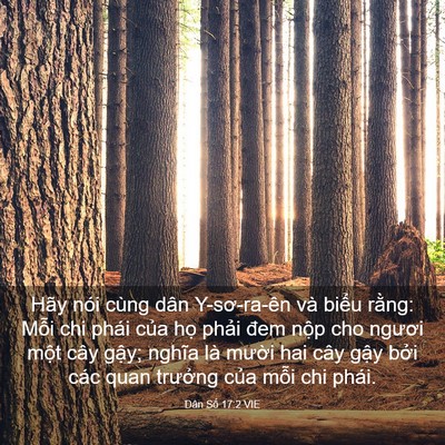 Picture 03 - Dân Số 17:2 VIE - Hãy nói cùng dân Y-sơ-ra-ên và biểu - Bible Verse Picture