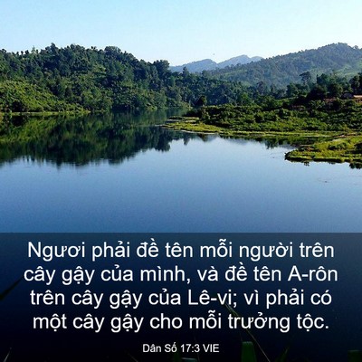 Picture 03 - Dân Số 17:3 VIE - Ngươi phải đề tên mỗi người trên - Bible Verse Picture
