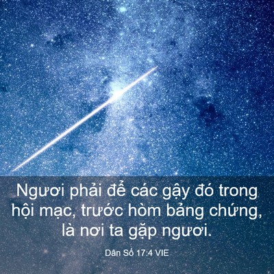 Picture 03 - Dân Số 17:4 VIE - Ngươi phải để các gậy đó trong hội - Bible Verse Picture