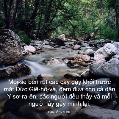 Picture 03 - Dân Số 17:9 VIE - Môi-se bèn rút các cây gậy khỏi trước - Bible Verse Picture