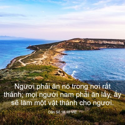 Picture 03 - Dân Số 18:10 VIE - Ngươi phải ăn nó trong nơi rất thánh; - Bible Verse Picture