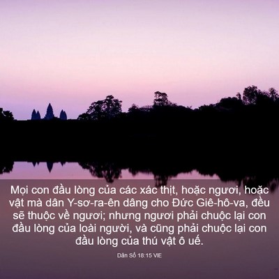 Picture 03 - Dân Số 18:15 VIE - Mọi con đầu lòng của các xác thịt, - Bible Verse Picture